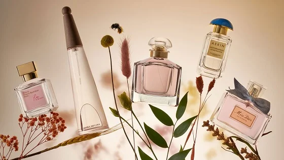 Top 5+ Popular Floral Fragrances – Find Your Signature Scent