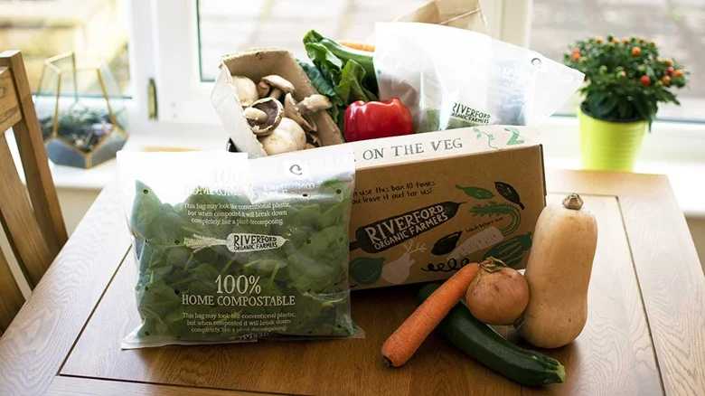 The Future of Flexible Packaging in the USA The Future of Flexible Packaging in the USA